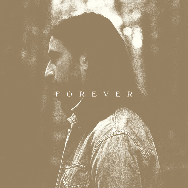 Northern Attitude (with Hozier)